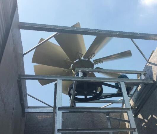 冷却塔风机怎么维护,冷却塔风机维护方